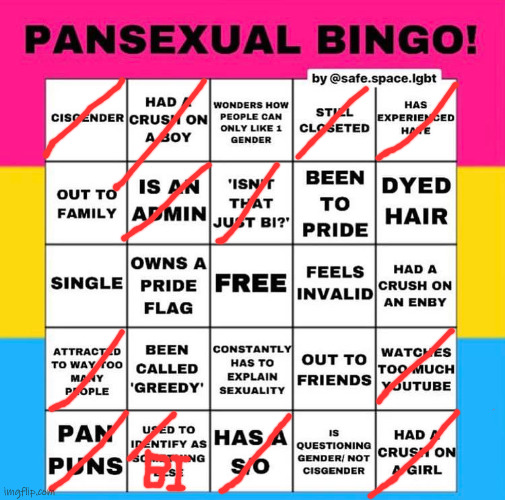 Didnt get a bingo | image tagged in pan bingo,bingo | made w/ Imgflip meme maker