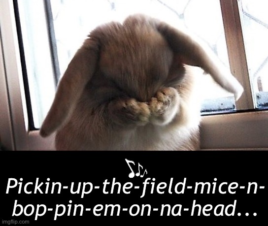 Pickin-up-the-field-mice-n-
bop-pin-em-on-na-head... | made w/ Imgflip meme maker