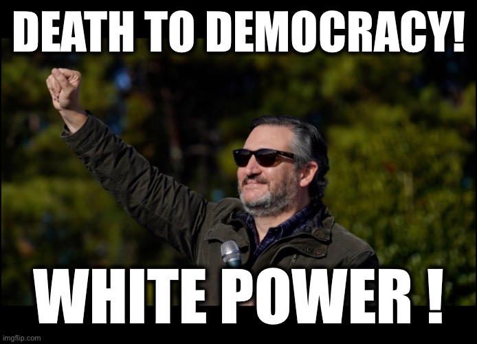 DEATH TO DEMOCRACY! WHITE POWER ! | image tagged in memes,gop,dictatorship,anti-american,russias,traitors | made w/ Imgflip meme maker
