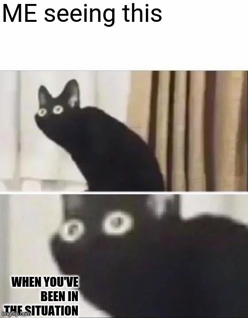 Oh No Black Cat | ME seeing this WHEN YOU'VE BEEN IN THE SITUATION | image tagged in oh no black cat | made w/ Imgflip meme maker