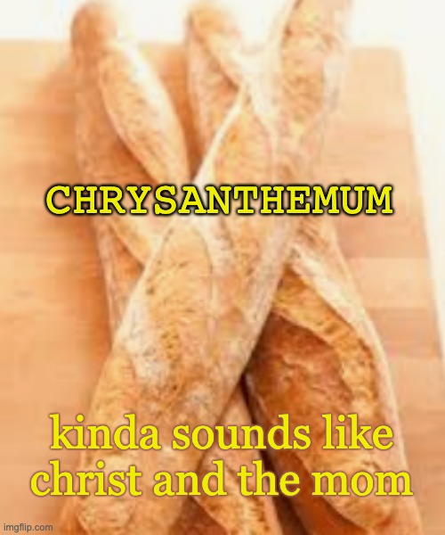CHRYSANTHEMUM; kinda sounds like christ and the mom | made w/ Imgflip meme maker