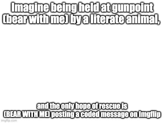 Blank White Template | Imagine being held at gunpoint (bear with me) by a literate animal, and the only hope of rescue is 
(BEAR WITH ME) posting a coded message on Imgflip | image tagged in blank white template | made w/ Imgflip meme maker