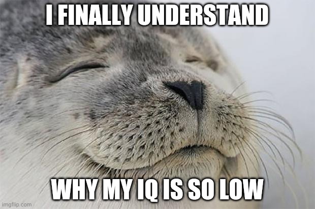 Satisfied Seal | I FINALLY UNDERSTAND; WHY MY IQ IS SO LOW | image tagged in memes,satisfied seal | made w/ Imgflip meme maker