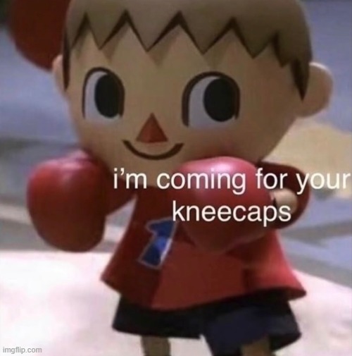 I found this image when I was exploring on Google so here you go. | image tagged in animal crossing,memes,meme | made w/ Imgflip meme maker