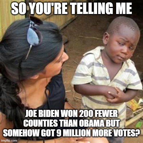 So You're Telling Me: Joe Biden won 200 fewer counties than Obama but somehow got 9 million more votes? | SO YOU'RE TELLING ME; JOE BIDEN WON 200 FEWER COUNTIES THAN OBAMA BUT SOMEHOW GOT 9 MILLION MORE VOTES? | image tagged in so youre telling me | made w/ Imgflip meme maker
