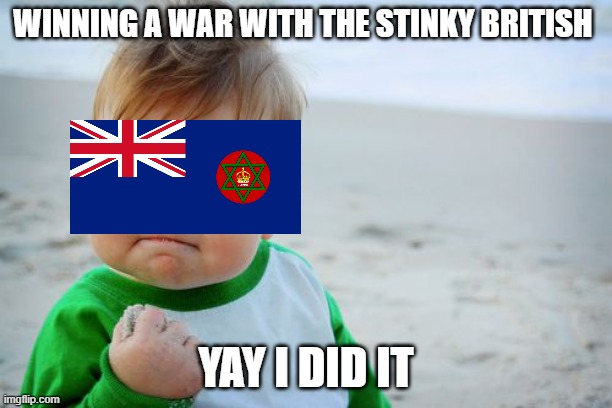 Success Kid Original Meme | WINNING A WAR WITH THE STINKY BRITISH; YAY I DID IT | image tagged in memes,success kid original | made w/ Imgflip meme maker
