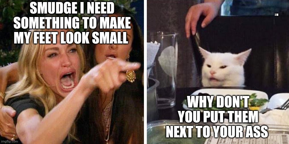 Smudge the cat | J M; SMUDGE I NEED SOMETHING TO MAKE MY FEET LOOK SMALL; WHY DON'T YOU PUT THEM NEXT TO YOUR ASS | image tagged in smudge the cat | made w/ Imgflip meme maker