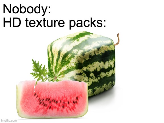 melon | Nobody:
HD texture packs: | image tagged in minecraft,gaming | made w/ Imgflip meme maker