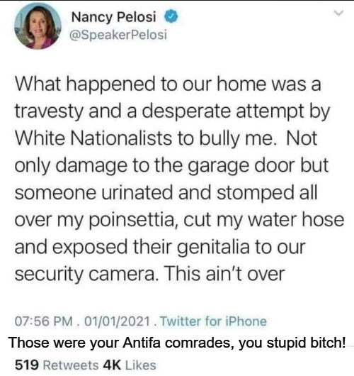 Those were your Antifa comrades, you stupid bitch! | Those were your Antifa comrades, you stupid bitch! | image tagged in nancy pelosi is crazy,nancy pelosi,nancy pelosi wtf,good old nancy pelosi,nancy pelosi pb sandwich,mental illness | made w/ Imgflip meme maker