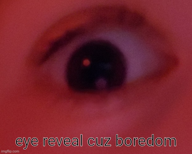æ | eye reveal cuz boredom | image tagged in a,e | made w/ Imgflip meme maker