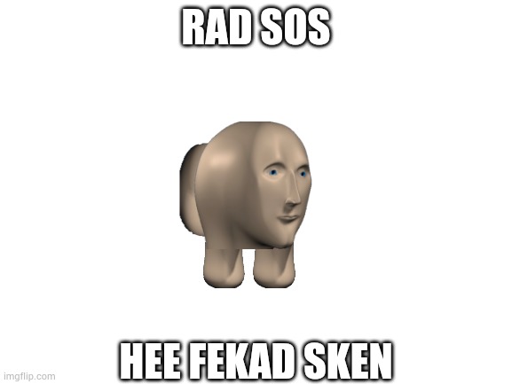 Rad sos | RAD SOS; HEE FEKAD SKEN | image tagged in blank white template | made w/ Imgflip meme maker