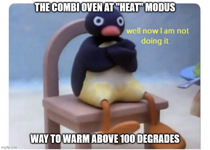 Cooking issues | THE COMBI OVEN AT "HEAT" MODUS; WAY TO WARM ABOVE 100 DEGRADES | image tagged in well now i am not doing it | made w/ Imgflip meme maker