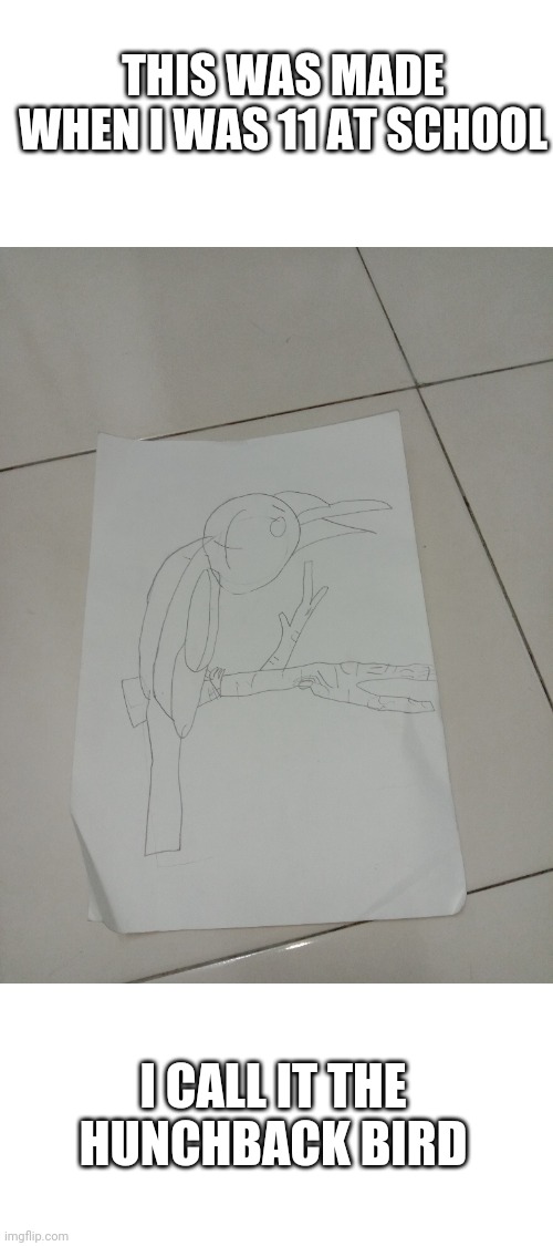 Spring Cleaning Discovery 1/2 | THIS WAS MADE WHEN I WAS 11 AT SCHOOL; I CALL IT THE HUNCHBACK BIRD | image tagged in blank white template | made w/ Imgflip meme maker