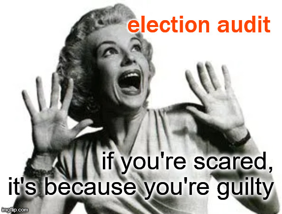 Who's afraid of the big bad audit? | election audit; if you're scared,
it's because you're guilty | image tagged in politics | made w/ Imgflip meme maker