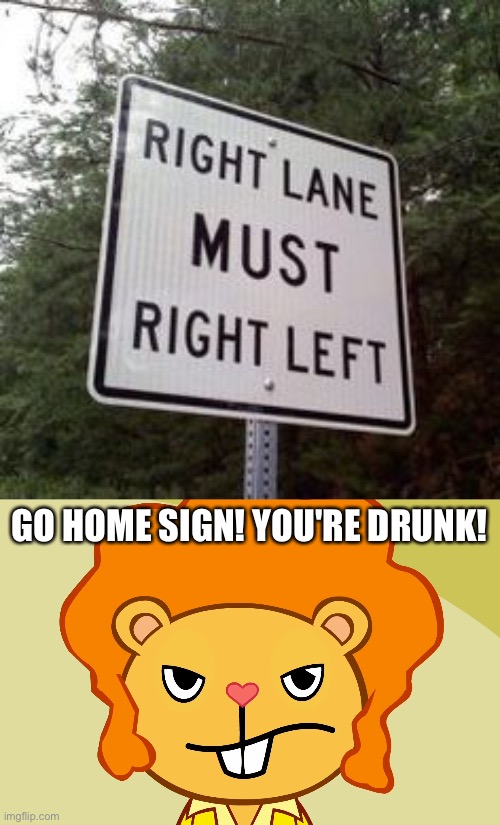 It's better to left lane | GO HOME SIGN! YOU'RE DRUNK! | image tagged in jealousy disco bear htf | made w/ Imgflip meme maker