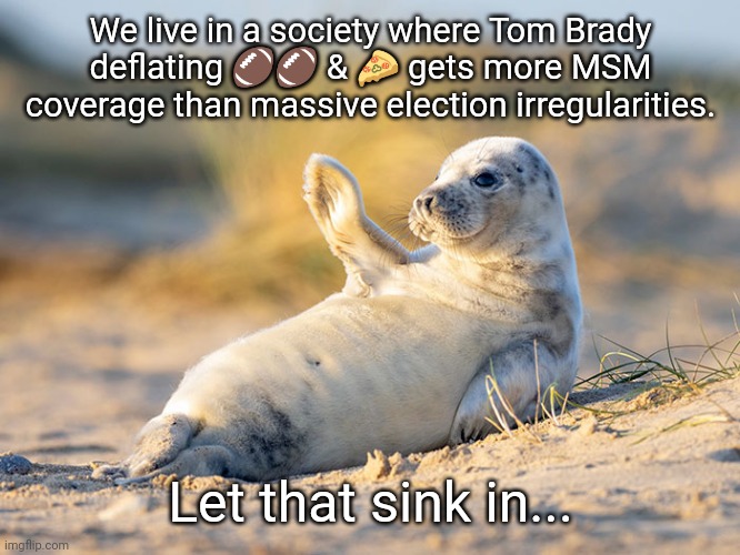 Seal of Approval... |  We live in a society where Tom Brady deflating 🏈🏈 & 🍕 gets more MSM coverage than massive election irregularities. Let that sink in... | image tagged in happy seal,day at the beach,election 2020,msm lies | made w/ Imgflip meme maker