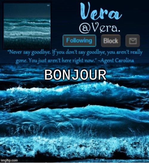 a n n o u n c e r e v i s e d | BONJOUR | image tagged in a n n o u n c e r e v i s e d | made w/ Imgflip meme maker