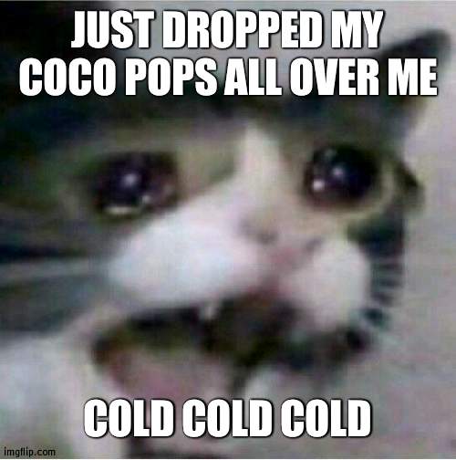 crying cat | JUST DROPPED MY COCO POPS ALL OVER ME; COLD COLD COLD | image tagged in crying cat | made w/ Imgflip meme maker