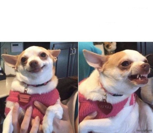 High Quality Happy Dog Then Angry Dog Blank Meme Template