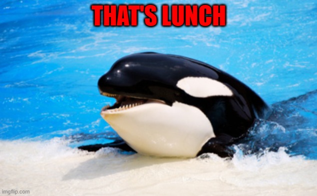 THAT'S LUNCH | made w/ Imgflip meme maker
