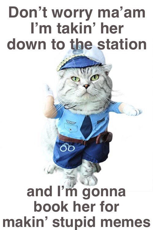 and I’m gonna book her for makin’ stupid memes Don’t worry ma’am
I’m takin’ her down to the station | made w/ Imgflip meme maker