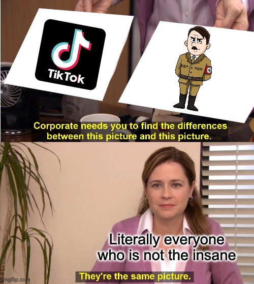 Tik Tok is the root of all evil | Literally everyone who is not the insane | image tagged in memes,they're the same picture | made w/ Imgflip meme maker