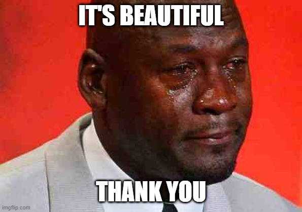 crying michael jordan | IT'S BEAUTIFUL THANK YOU | image tagged in crying michael jordan | made w/ Imgflip meme maker
