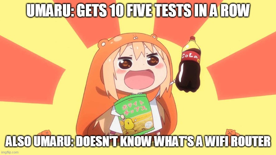 umaru-chan | UMARU: GETS 10 FIVE TESTS IN A ROW; ALSO UMARU: DOESN'T KNOW WHAT'S A WIFI ROUTER | image tagged in umaru-chan | made w/ Imgflip meme maker