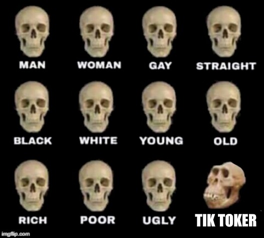idiot skull | TIK TOKER | image tagged in idiot skull | made w/ Imgflip meme maker