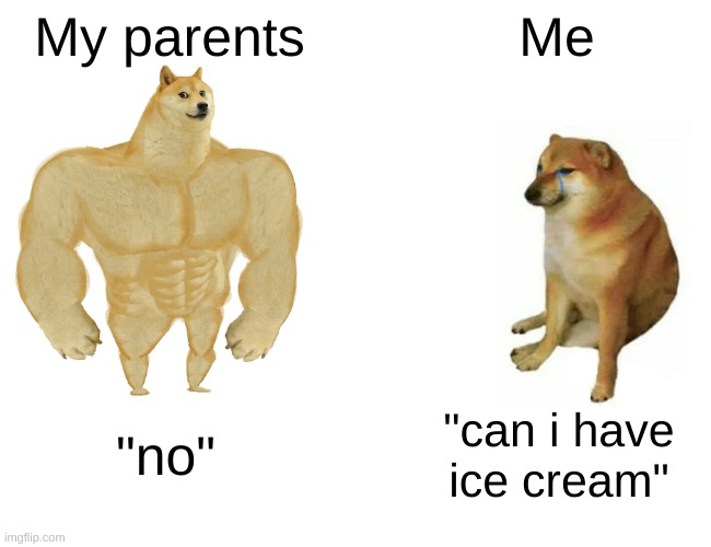 I have no ideas so here's my submission | My parents; Me; "no"; "can i have ice cream" | image tagged in memes,buff doge vs cheems | made w/ Imgflip meme maker