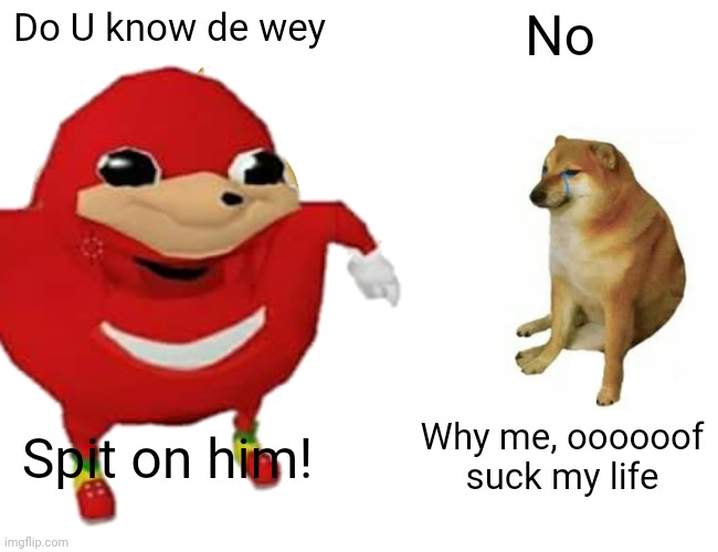 He doesn't know de wey | Do U know de wey; No; Spit on him! Why me, oooooof suck my life | image tagged in buff doge vs cheems | made w/ Imgflip meme maker