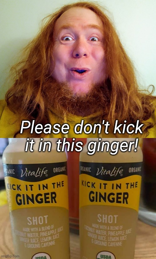 Kick it in the ginger meme | Please don't kick it in this ginger! | image tagged in redheads,ginger,unlucky ginger kid,drink,tea,kick | made w/ Imgflip meme maker