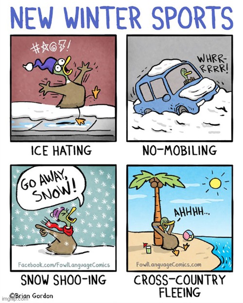 The winter life for a duck | image tagged in comics/cartoons,duck,winter,sports | made w/ Imgflip meme maker