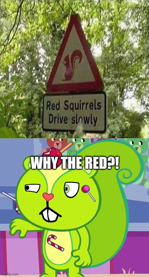 This is super annoyed! | WHY THE RED?! | image tagged in funny,squirrel,you had one job,task failed successfully,memes | made w/ Imgflip meme maker