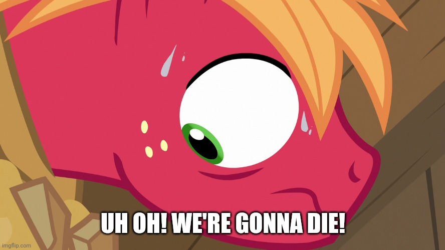 Feared Big Macintosh (MLP) | UH OH! WE'RE GONNA DIE! | image tagged in feared big macintosh mlp | made w/ Imgflip meme maker