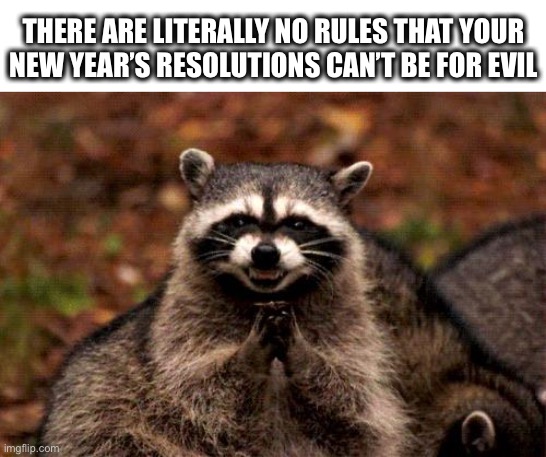 Have you ever considered this? | THERE ARE LITERALLY NO RULES THAT YOUR
NEW YEAR’S RESOLUTIONS CAN’T BE FOR EVIL | image tagged in memes,evil plotting raccoon,new year resolutions,2021,evil,thinking | made w/ Imgflip meme maker
