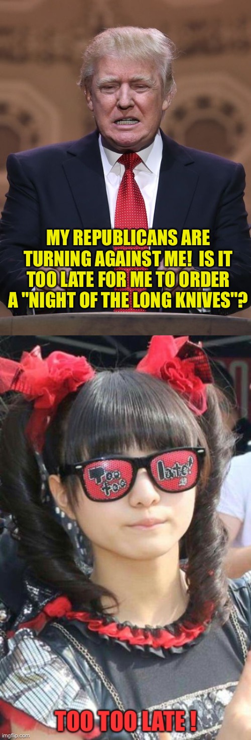 Too too late | MY REPUBLICANS ARE TURNING AGAINST ME!  IS IT TOO LATE FOR ME TO ORDER A "NIGHT OF THE LONG KNIVES"? | image tagged in donald trump | made w/ Imgflip meme maker