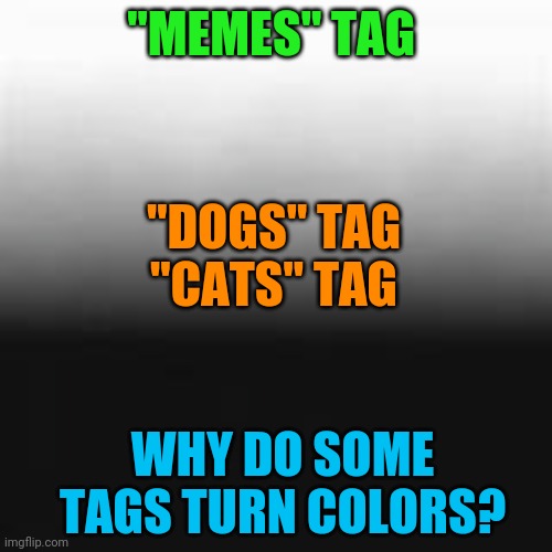 Anybody know? | "MEMES" TAG; "DOGS" TAG
"CATS" TAG; WHY DO SOME TAGS TURN COLORS? | image tagged in memes,dogs,cats,tag youre it | made w/ Imgflip meme maker
