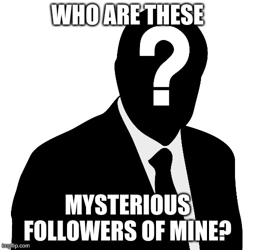 hmmmmmmmmm mysterious | WHO ARE THESE; MYSTERIOUS FOLLOWERS OF MINE? | image tagged in mystery person | made w/ Imgflip meme maker