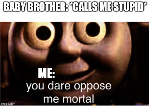 you dare oppose me mortal | BABY BROTHER: *CALLS ME STUPID*; ME: | image tagged in you dare oppose me mortal | made w/ Imgflip meme maker