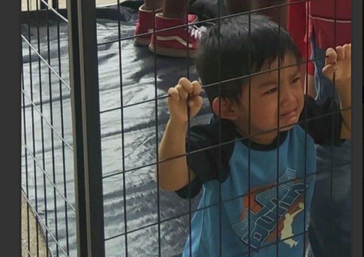 High Quality kids in cages Blank Meme Template