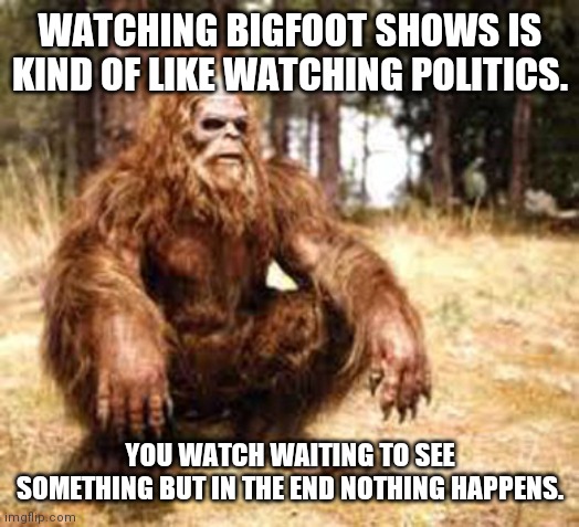Political bigfoot | WATCHING BIGFOOT SHOWS IS KIND OF LIKE WATCHING POLITICS. YOU WATCH WAITING TO SEE SOMETHING BUT IN THE END NOTHING HAPPENS. | image tagged in bigfoot,politics,nothing,nothing to see here,useless | made w/ Imgflip meme maker
