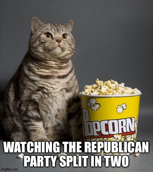 "Traitors" and "Patriots", but which is which? | WATCHING THE REPUBLICAN PARTY SPLIT IN TWO | image tagged in cat eating popcorn | made w/ Imgflip meme maker