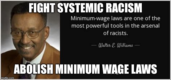 Fight real systemic racism | FIGHT SYSTEMIC RACISM; ABOLISH MINIMUM WAGE LAWS | image tagged in walter e williams,racism,democrats | made w/ Imgflip meme maker