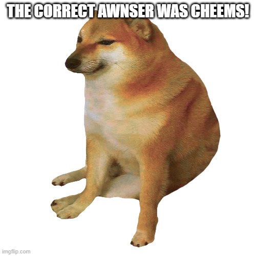 cheems | THE CORRECT AWNSER WAS CHEEMS! | image tagged in cheems | made w/ Imgflip meme maker