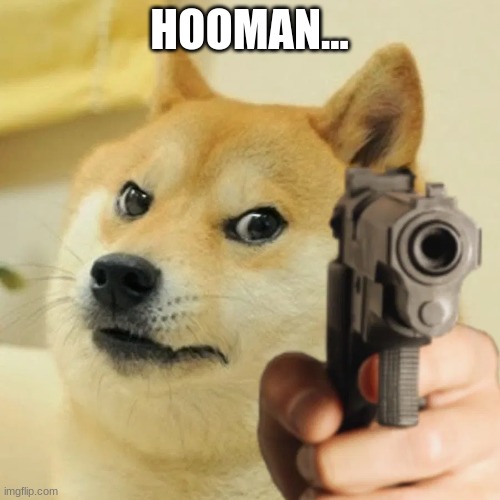 Angry doge | HOOMAN... | image tagged in angry doge | made w/ Imgflip meme maker