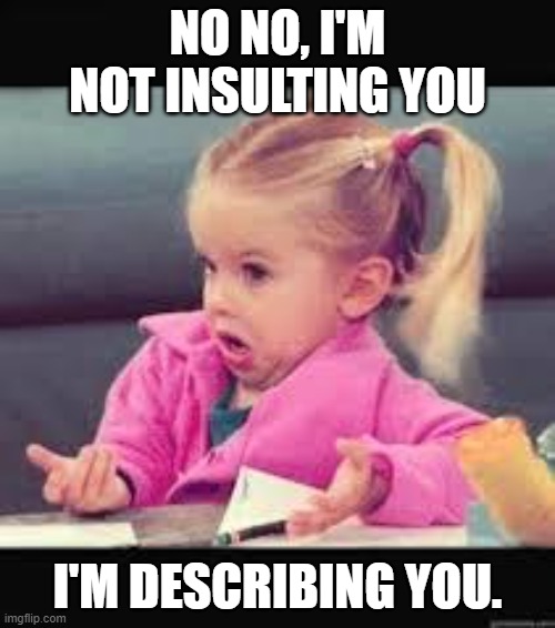 The truth hurts | NO NO, I'M NOT INSULTING YOU; I'M DESCRIBING YOU. | image tagged in little girl dunno | made w/ Imgflip meme maker