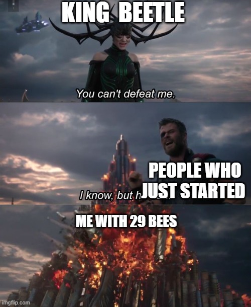 You can't defeat me | KING  BEETLE; PEOPLE WHO JUST STARTED; ME WITH 29 BEES | image tagged in you can't defeat me | made w/ Imgflip meme maker
