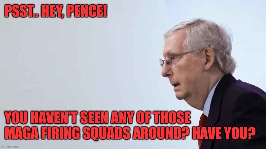 PSST.. HEY, PENCE! YOU HAVEN’T SEEN ANY OF THOSE MAGA FIRING SQUADS AROUND? HAVE YOU? | made w/ Imgflip meme maker