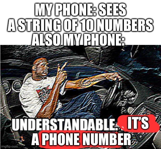 UNDERSTANDABLE, HAVE A GREAT DAY | MY PHONE: SEES A STRING OF 10 NUMBERS; ALSO MY PHONE:; IT’S; A PHONE NUMBER | image tagged in understandable have a great day | made w/ Imgflip meme maker
